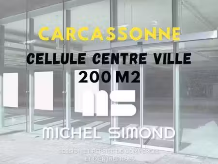 michel simond narbonne