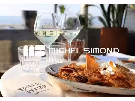michel simond narbonne