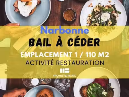 michel simond narbonne