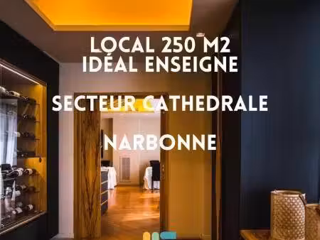 michel simond narbonne