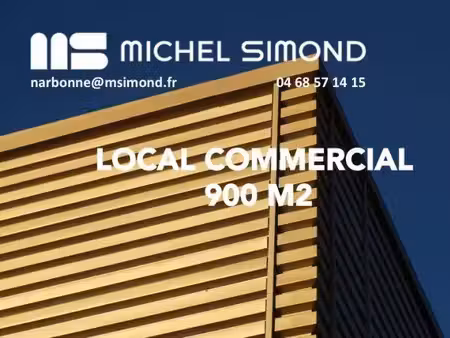 michel simond narbonne