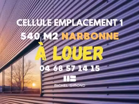 michel simond narbonne