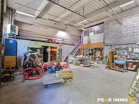 peak immobilier