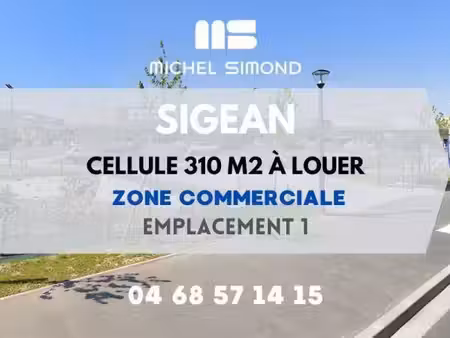michel simond narbonne