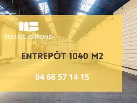 michel simond narbonne