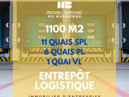michel simond narbonne