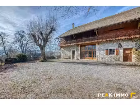 peak immo bonne