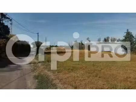 vip business