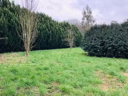terrain constructible viabilisé à vendre