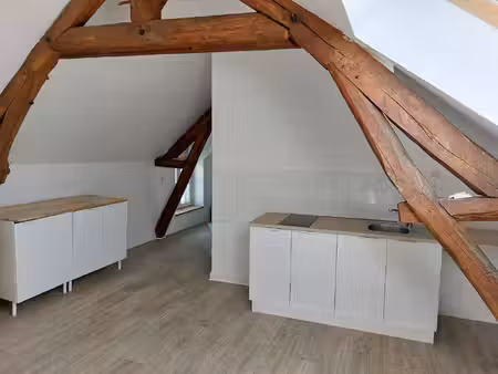 griffon choloux immobilier