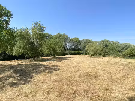 terrain à vendre