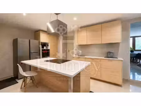 homey immobilier