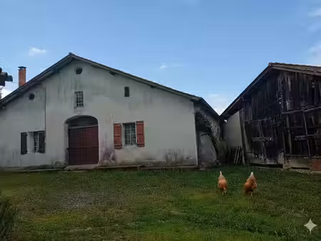 pouillon immobilier