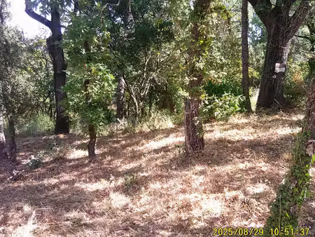 vente terrain 1200 m² les mayons (83340)