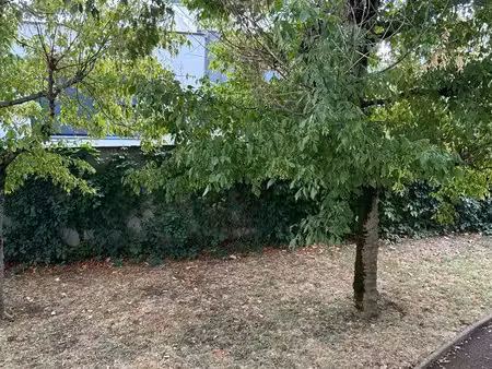 joli appartement à vendre