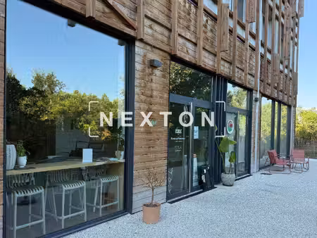 nexton immobilier