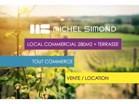 michel simond narbonne