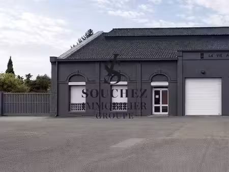 souchez immobilier
