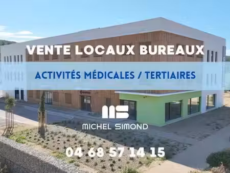 michel simond narbonne