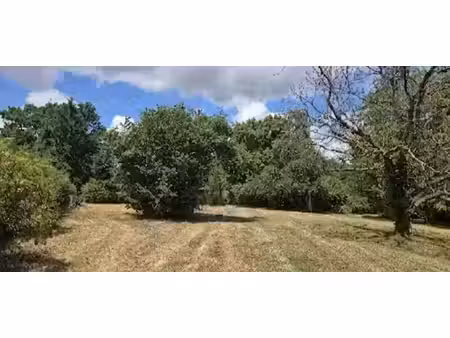 terrain à vendre