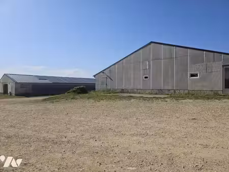local commercial à vendre