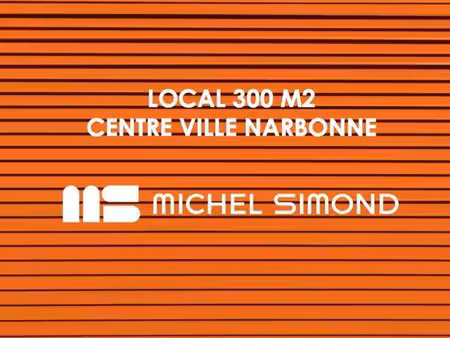 michel simond narbonne