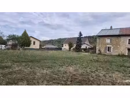régie immobilière du haut bugey sarl