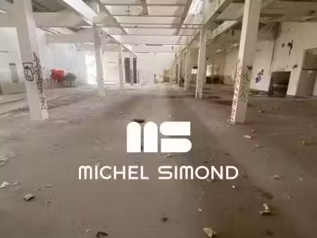 michel simond narbonne