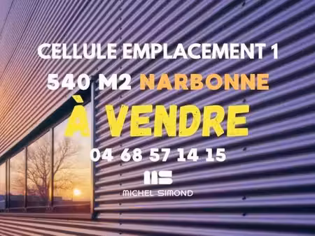 michel simond narbonne