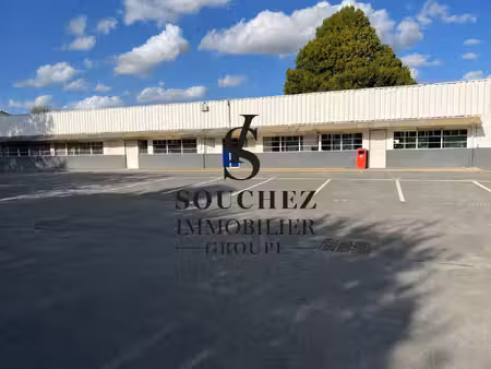 souchez immobilier