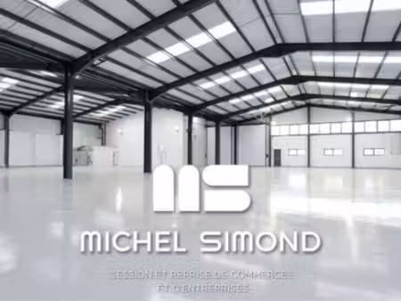 michel simond narbonne