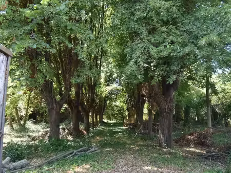 un écrin de verdure à bâtir au cœur de joigny