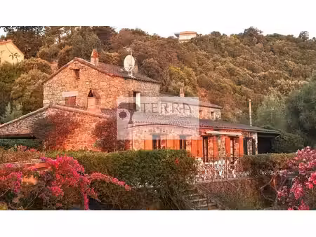 terra immobilier solenzara