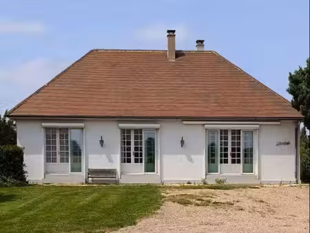 viel immobilier
