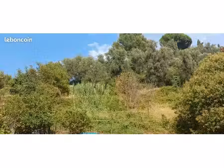 terrain à vendre