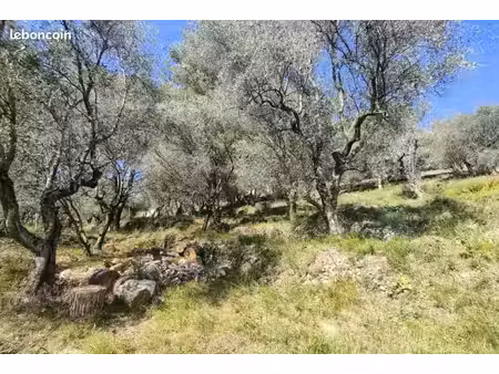 terrain 1 129 m² saint martin du var