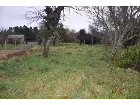 beau terrain plat à bâtir de 1040 m2