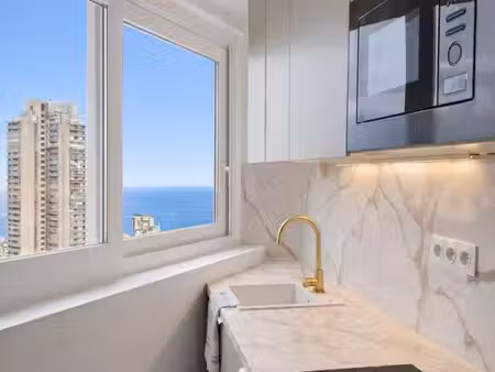 studio à beausoleil — disponible dès septembre