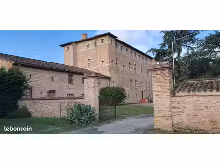 muret  dans château  t2bis de 79 m²