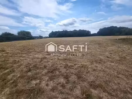 vente terrain à batir 949 m² à cinq-mars-la-pile (37130)  65 000 €