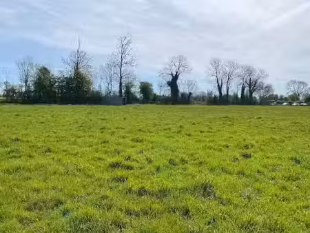 vente terrain 541 m² à nonant (14400)  58 900 €