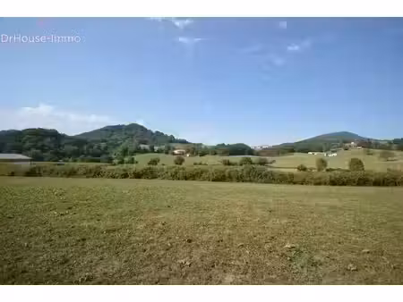 vente terrain 1196 m² à jaxu (64220)  75 000 €