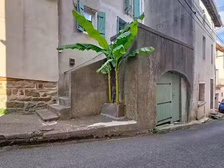 une maison de caractère avec deux terrasses  superbe cave voûtée et plus de 1 150 m² de te