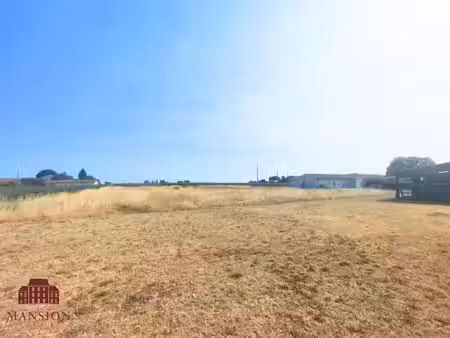vente terrain 1600 m² à saint-pierre-de-mons (33210)  49 000 €