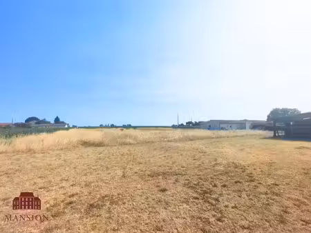 vente terrain 2800 m² à saint-pierre-de-mons (33210)  110 000 €