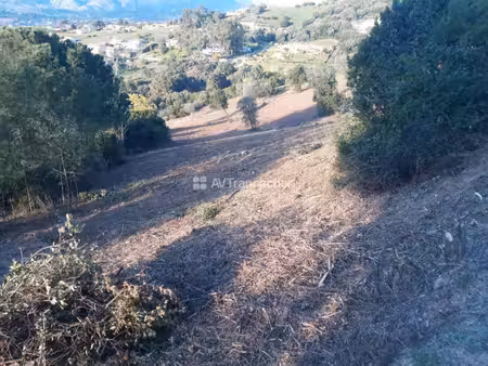 à vendre terrain constructible sur la plaine de cuttoli