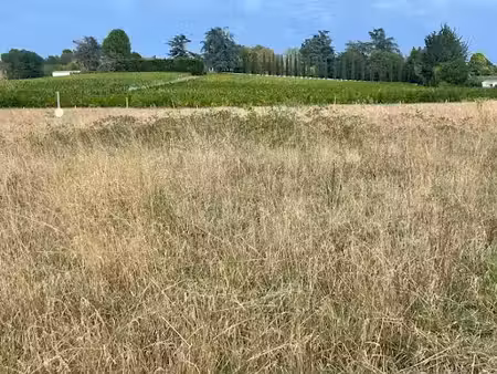 vente terrain 669 m² à camblanes-et-meynac (33360)  185 000 €