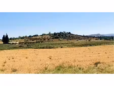 vente terrain 698 m² à thézan-des-corbières (11200)  84 000 €