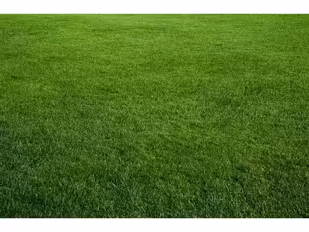 vente terrain 800 m² à treffiagat (29730)  95 000 €