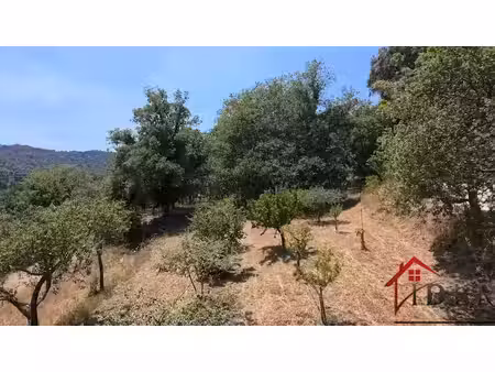 vente terrain 1557 m² à collobrières (83610)  170 000 €